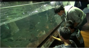 水族館2